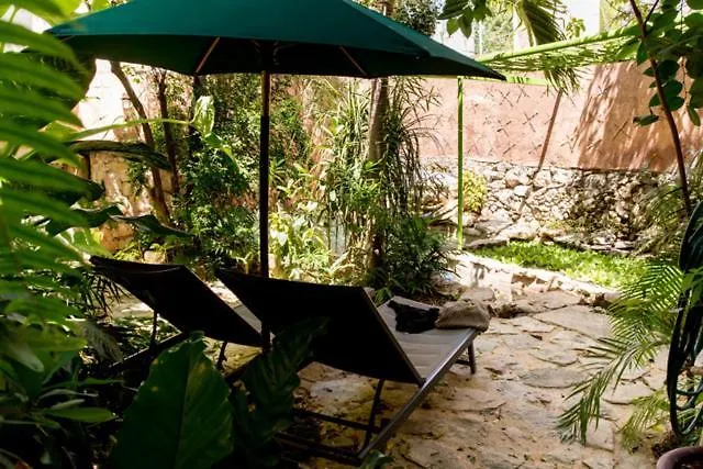 La Selva By Majikal B&B Merida