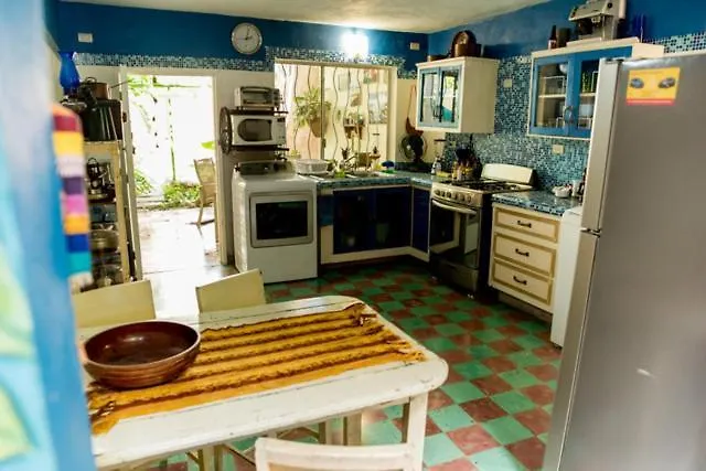 La Selva By Majikal B&B Merida Mexico