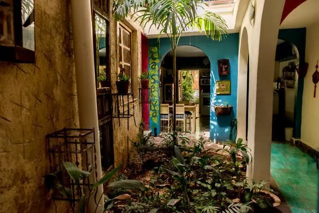 La Selva By Majikal B&B Merida Apartment